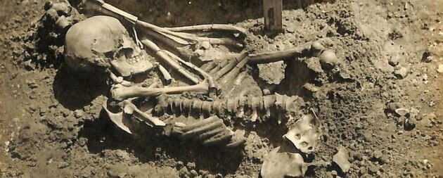 Археологи обнаружили останки древнейшей жертвы нападения акулы