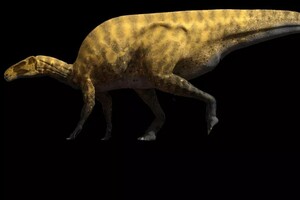 Палеонтологи обнаружили новый вид гигантского динозавра с острыми когтями