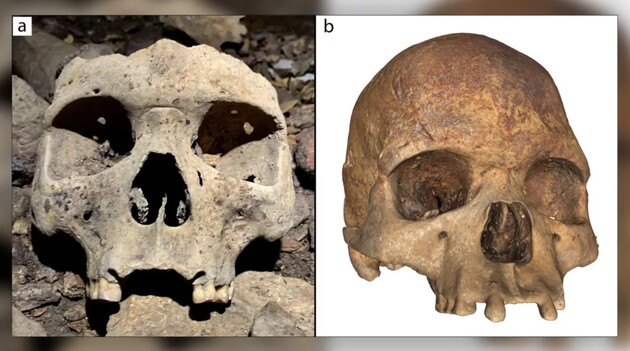 Археологи нашли в Габоне останки людей с деформированными черепами