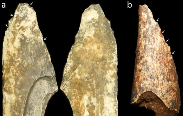 Ученые нашли в ЮАР костяное орудие труда возрастом миллион лет