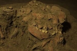 В Индонезии археологи исследовали ранее неизвестный вид людей, которые жили 7200 лет назад