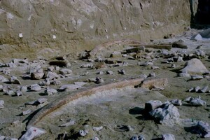 Археологи в Италии выявили рекордное количество древних орудий из слоновой кости