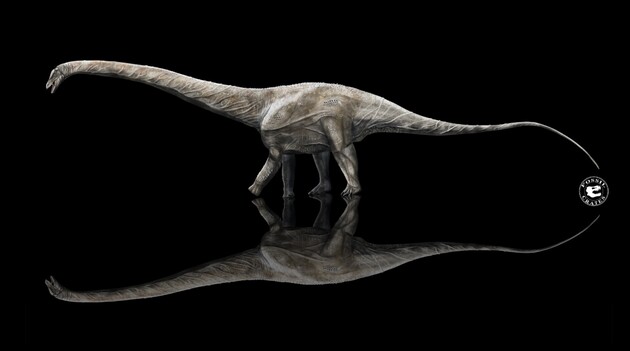 Ученые назвали самого длинного динозавра из живших на Земле