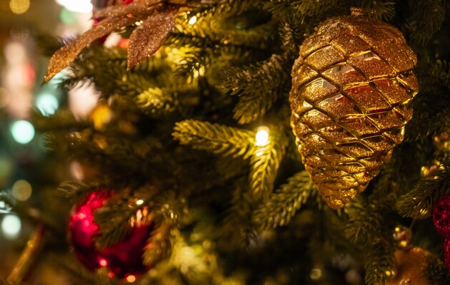 Искусственная или настоящая: ученые рассказали, какая новогодняя елка более экологична
