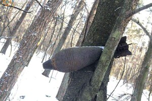 Во Львовской области нашли мину времен Второй мировой войны, которая висела на дереве – фото