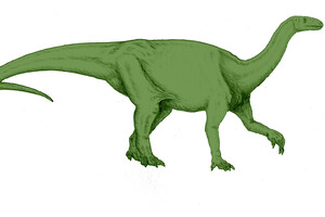 В Великобритании нашли следы динозавра возрастом 200 миллионов лет