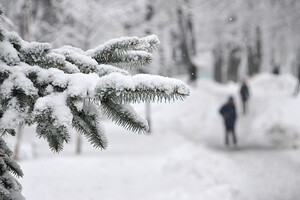 Сніг та штормовий вітер очікується в Україні кожного дня до кінця січня