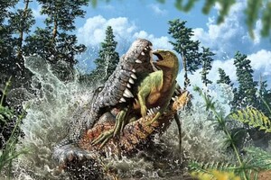 Ученые нашли ископаемого крокодила, который съел динозавра