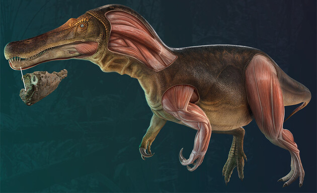 Палеонтологи нашли в Португалии останки нового вида динозавров