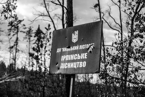 Что с украинскими лесами во время войны?
