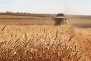 Латвия поможет Украине продать зерновые через свои порты - Минагрополитики