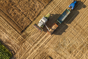 Урожай зерновых в Украине в 2022 г. будет на 20% ниже, чем в 2021 году