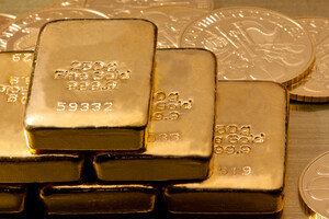 Вилучені в ексміністра Ставицького 48 кілограмів золота передадуть армії - Генпрокуратура