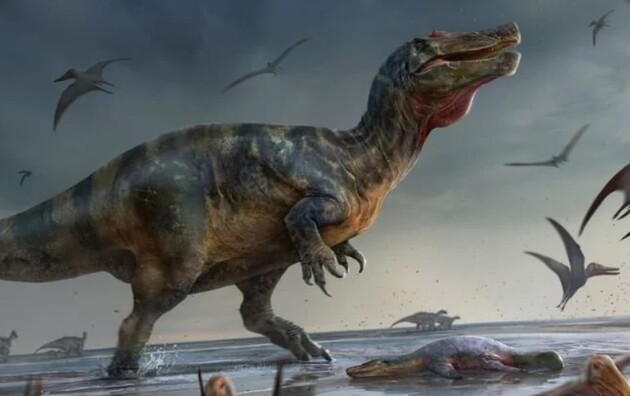 Палеонтологи обнаружили останки самого крупного хищника в Европе
