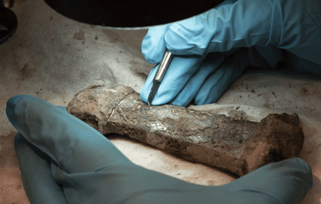 Археологи «собрали по кусочкам» редкий меч викингов