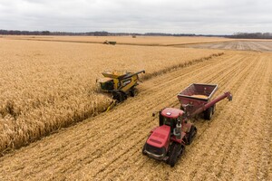 Оккупанты украли у фермеров Луганщины 70 тыс. тонн зерна