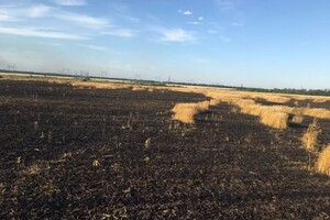 Обстрел Донецкой области: сгорело 150 га поля с пшеницей