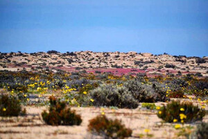 В чилийской пустыне появилась гигантская загадочная воронка 