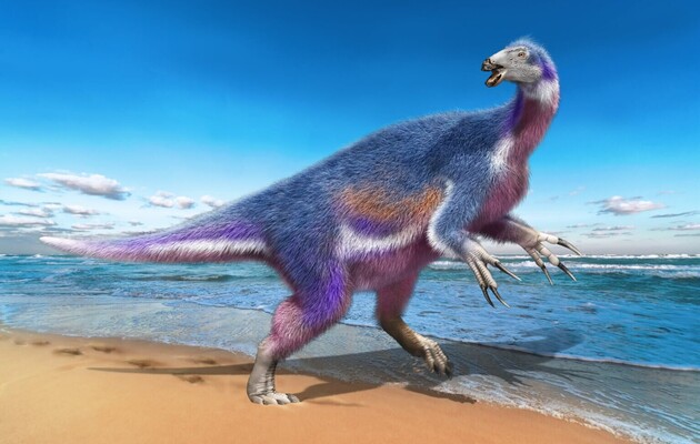 В США обнаружили одну из самых длинных «тропинок» динозавров