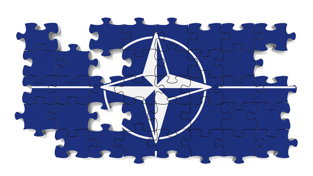 Страны Балтии полностью поддерживают скорейшее принятие Украины в НАТО