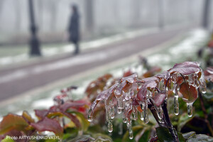 У Києві та області зафіксовано найдовший період без морозів