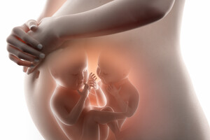 Из замороженных в 1992 году эмбрионов родились близнецы