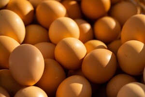 Война в Украине и мировая экономика: в США почти вдвое выросли цены на яйца