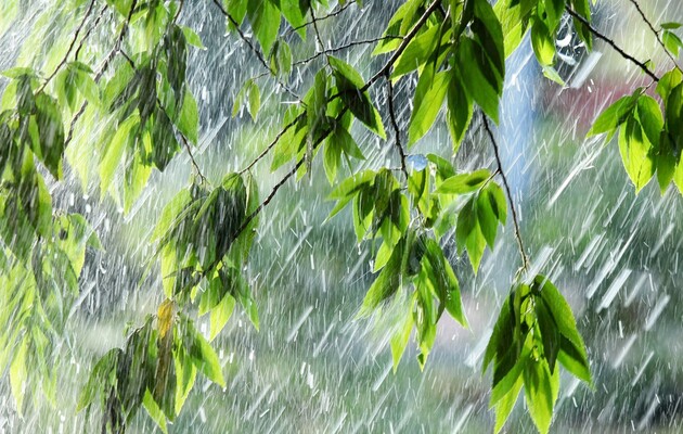Дожди и заморозки: синоптик дал прогноз погоды на выходные