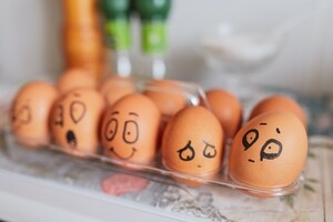 Требования к инкубационным яйцам: очередная идея Кабмина, извлеченная из забвения