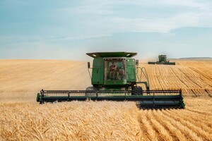 Украина начала экспортировать зерно через Хорватию