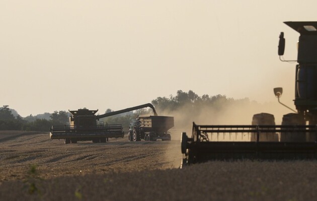 В Румынии объяснили, почему не ввели эмбарго на импорт украинского зерна