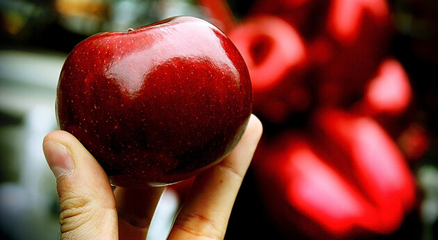 Цены на фрукты: в Украине подешевели яблоки