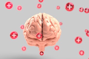 Neuralink Илона Маска начала искать добровольцев для вживления мозговых имплантов – Bloomberg