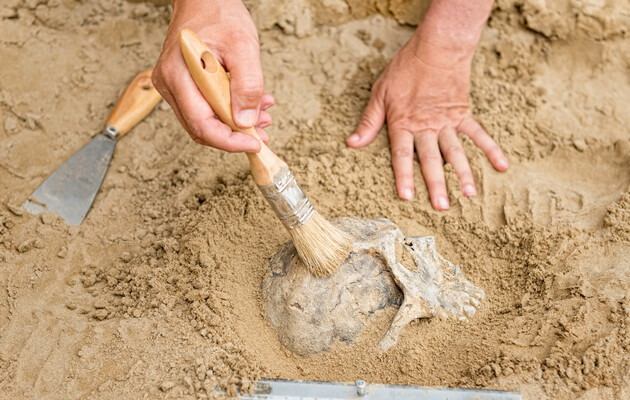 Археологи нашли скелет с протезом возрастом 600 лет