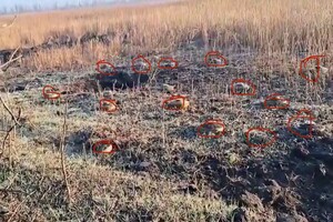 Россияне устанавливают мины с интервалом около метра: видео с запорожского направления
