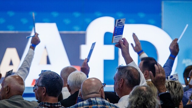 В Германии партию с антиукраинской позицией AfD разоблачили на сотрудничестве с неонацистами – СМИ