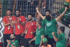 Єгипетська асоціація футболу принесла в жертву корову заради везіння збірної на Кубку Африки