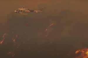 В Чили бушуют лесные пожары, которые уже забрали жизни 51 человека. Власти заявили об очень сложной ситуации