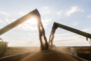 Экспорт зерна из Украины: эксперты оценили рост
