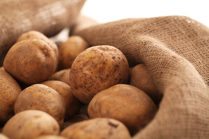 Ціни знизилися: в Україні подешевшала картопля