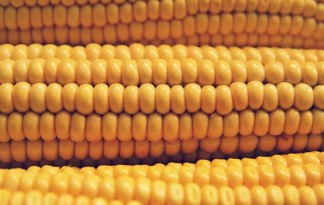 Вартість кукурудзи, пшениці та руди зменшилися: які товари в ціні на зовнішніх ринках