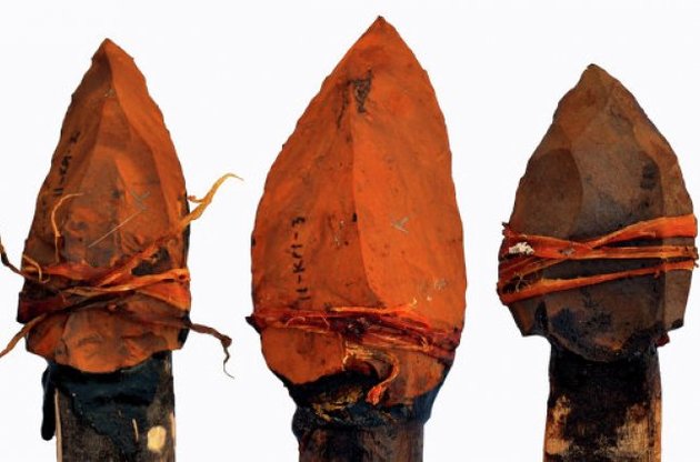 Первобытные люди изобрели копья на 200 тысяч лет раньше, чем считалось ранее
