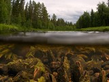 Озерная — река на полуострове Камчатка в России