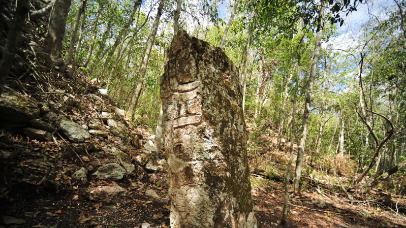 В джунглях Мексики нашли руины древнего города майя