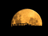 Фотография "Силуэты Луны", также выполненная главным победетелем конкурса Марком Джи, была признана лучшей в категории "Люди и космос". Это только кажется простой фотографией людей на фоне восходящей Луны. Снимая людей на смотровой площадке издалека, фотограф акцентировал внимание на их крайне маленьком размере по сравнению с огромной величиной нашего естественного спутника.