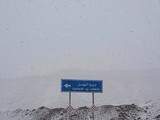 Саудиты обрадовались снегу.
