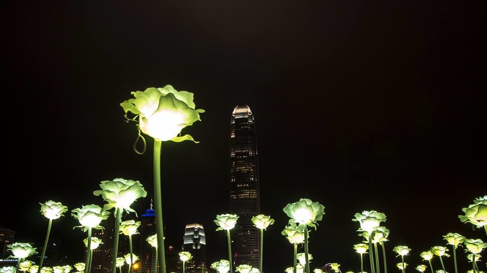 Light Rose Garden в парке Гонконга
