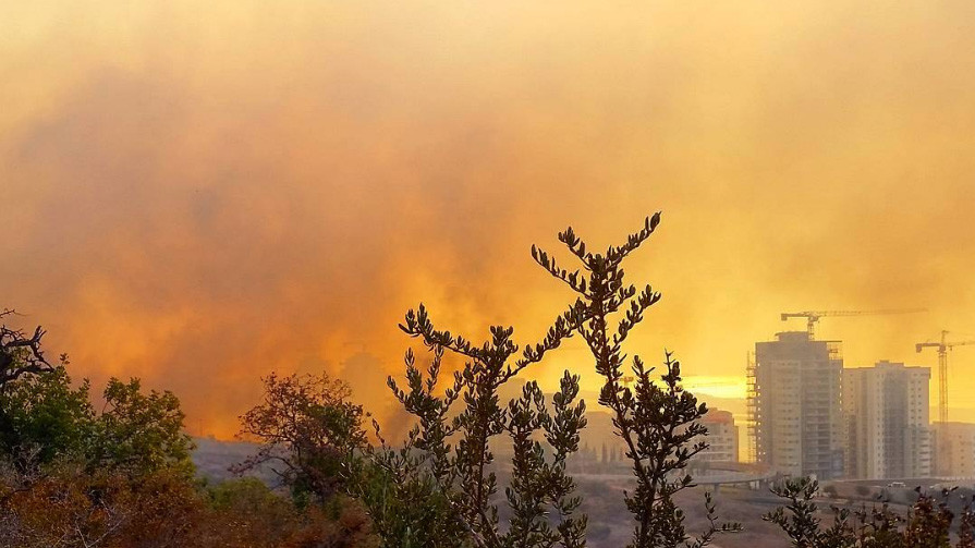 Пожежі в Хайфі