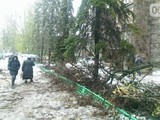 В Україну в квітні несподівано повернулася зима