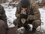 В соцсетях фотографии бойцов с животными собирают сотни "лайков"